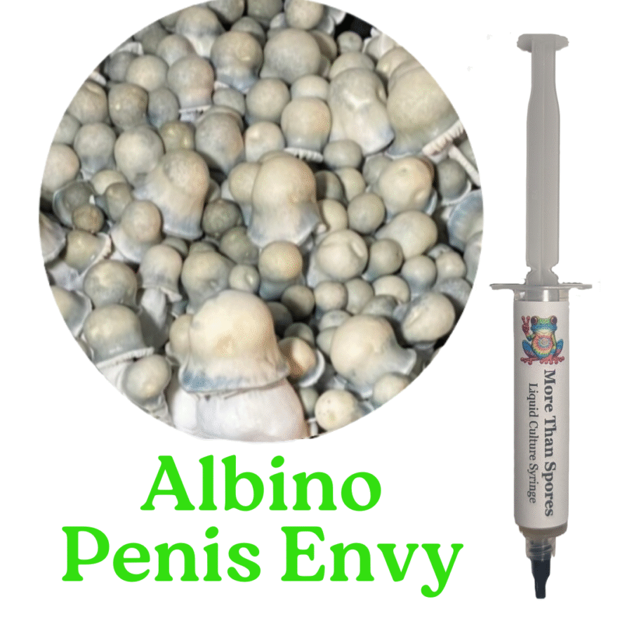 Albino Penis Envy Liquid Culture Syringe