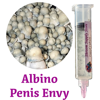 albino penis envy liquid culture syringe