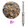 B+ Mushroom Liquid Culture Syringe
