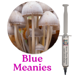 Blue Meanie Liquid Culture Syringe