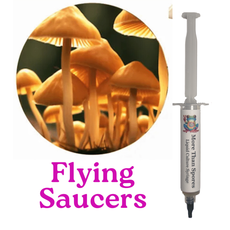 Flying Saucers Liquid Culture Syringe