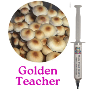 Golden Teacher Liquid Culture Syringe