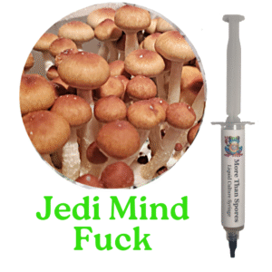 Jedi Mind Fuck Liquid Culture Syringe
