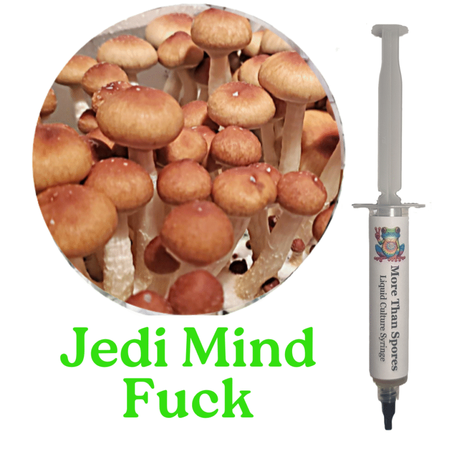 Jedi Mind Fuck Liquid Culture Syringe