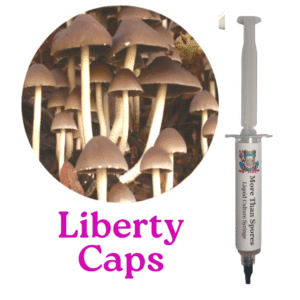 Liberty Caps Liquid Culture Syringe