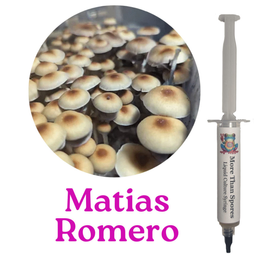 Matias Romero Liquid Culture Syringe