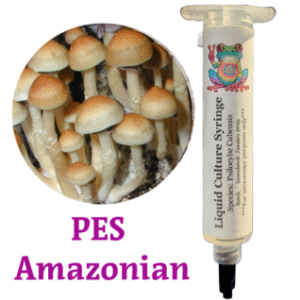pes amazonian liquid culture syringe