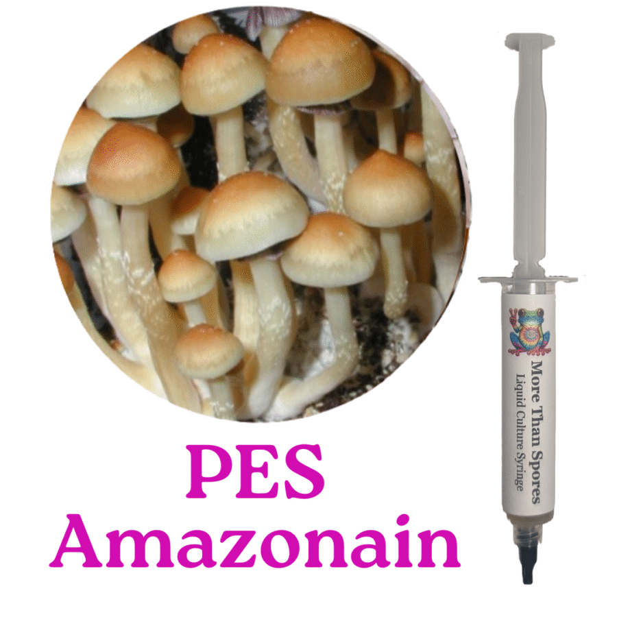 PES Amazonian Liquid Culture Syringe