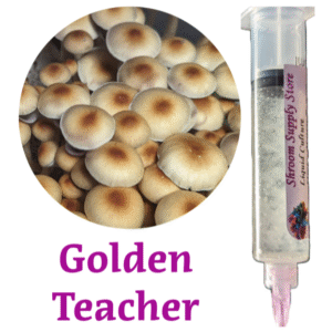 golden teacher liquid culture syringe