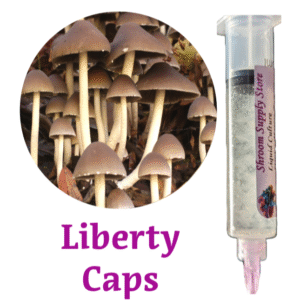liberty caps liquid culture syringe