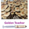 golden teacher liquid culture syringe