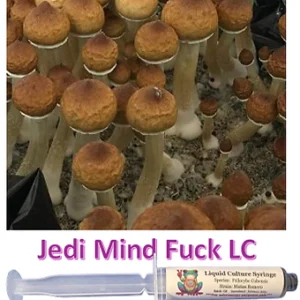 jedi mind fuck liquid culture syringe