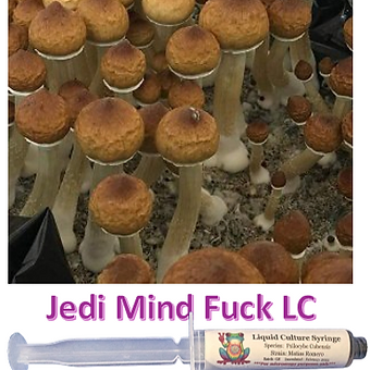 jedi mind fuck liquid culture syringe
