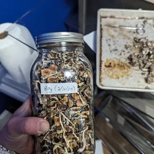 matias romero liquid culture syringe