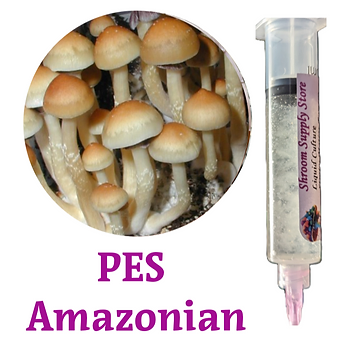 pes amazonian liquid culture syringe