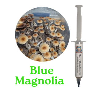 Blue Magnolia Liquid Culture Syringe