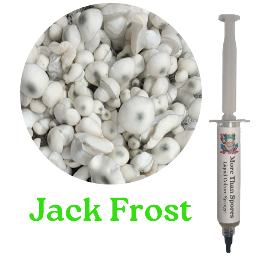 Jack Frost Product Image Jack Frost Liquid Culture Syringe